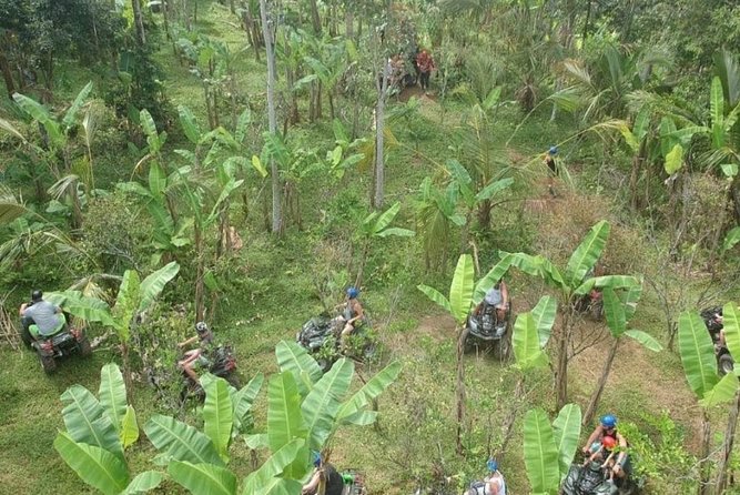 Bali Quad Bike ATV Passing Through Waterfall, Cave & Rice Fields - Safety and Maintenance
