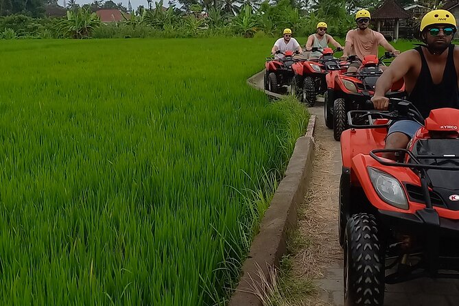 Bali Quad Bike Gorilla Cave & Ubud White Water Rafting With Lunch - What to Expect