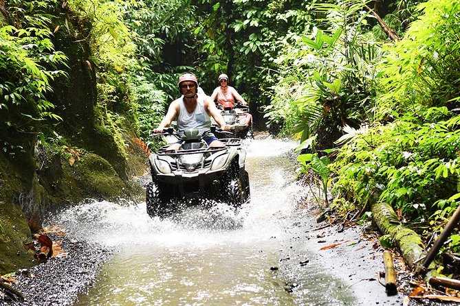 Bali Quad Bike - Single Bike 250cc - Adventure and Itinerary