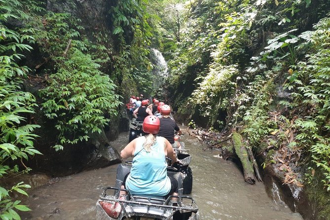 Bali Quad Bike With Ubud Tour - Inclusions