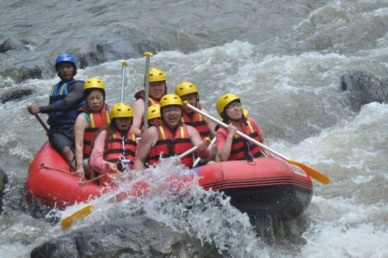 Bali Rafting Adventures and Ubud Day Trip - Inclusions