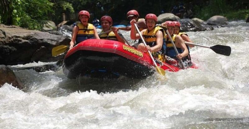 Bali : Rafting + Rice Terrace + 1,5Hrs Massage + Lunch - Itinerary Highlights