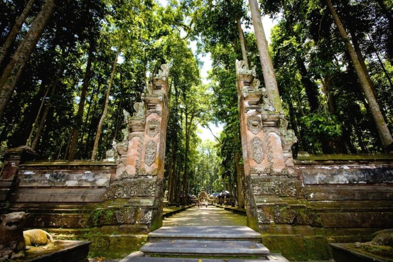 Bali: Reconnect With Nature & Your Inner Self Through Bali - Customer Feedback