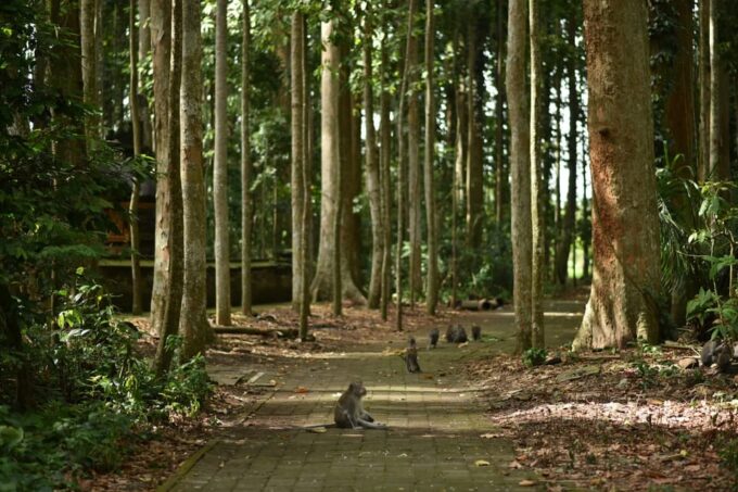 Bali: Reconnect With Nature & Your Inner Self Through Bali - Explore Balinese Culture