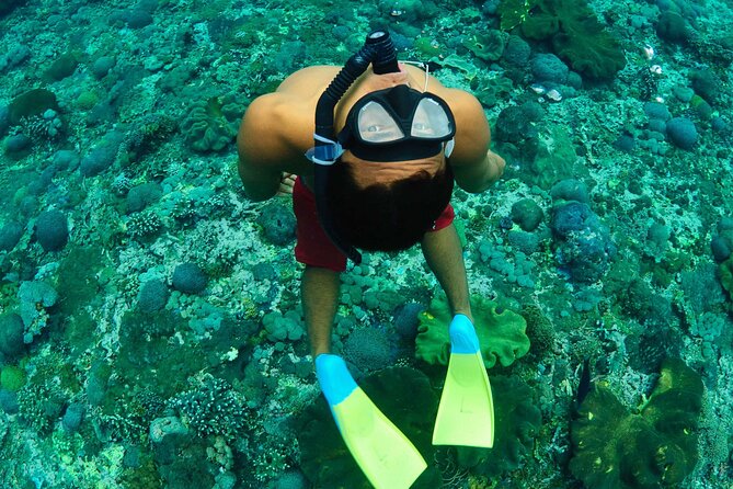 Bali Reef Cruise and Lembongan Island Day Trip - Guest Experience and Feedback