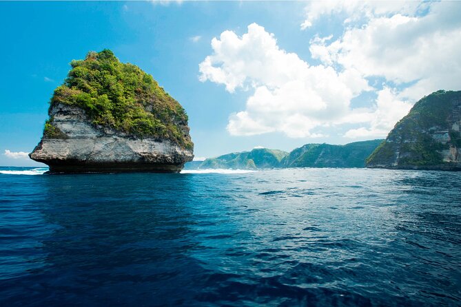 Bali Reef Cruise and Lembongan Island Day Trip - Cruise Details