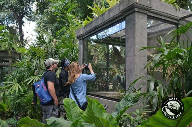 Bali Reptile Park 1-Day Admission Ticket - Encountering the Snakes