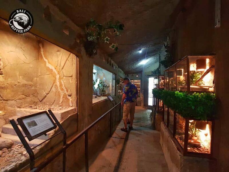 Bali Reptile Park 1-Day Admission Ticket - Interactive and Hands-On Opportunities