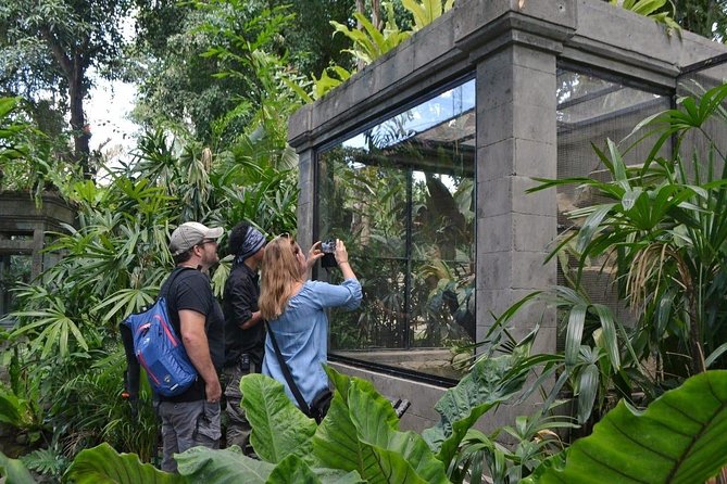 Bali Reptile Park Entrance Ticket - Reptile Shows and Encounters