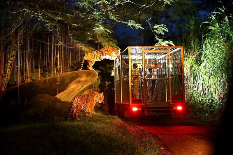 Bali: Return Private Transfer for Night Safari - Transportation Details