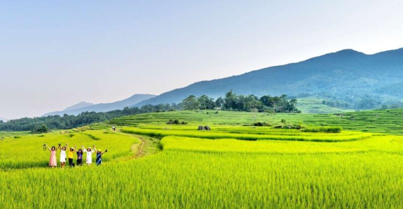 Bali: Rice Terraces Guided Hiking Experience - Tour Pricing