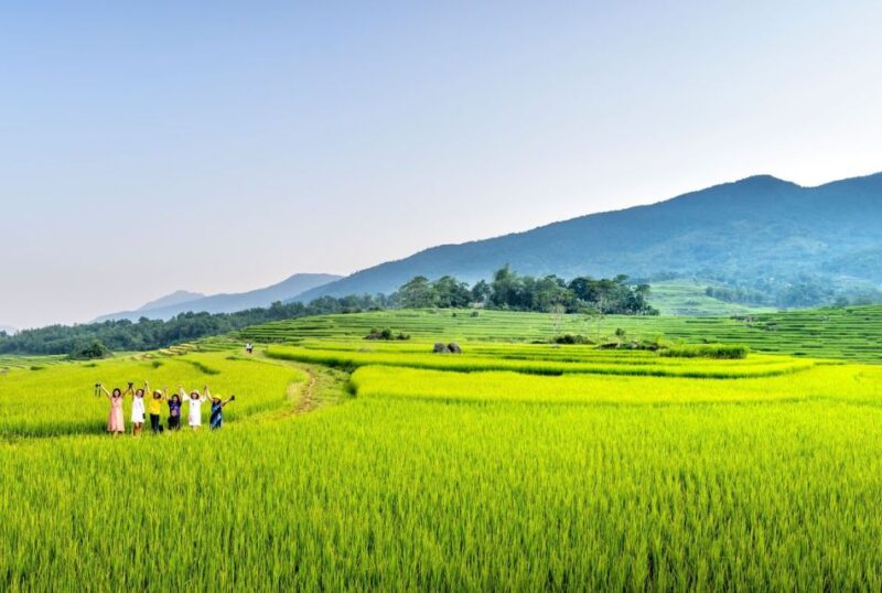 Bali: Rice Terraces Guided Hiking Experience - Tour Features