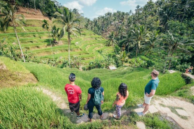 Bali: Rice Terraces Guided Hiking Experience - Customer Feedback