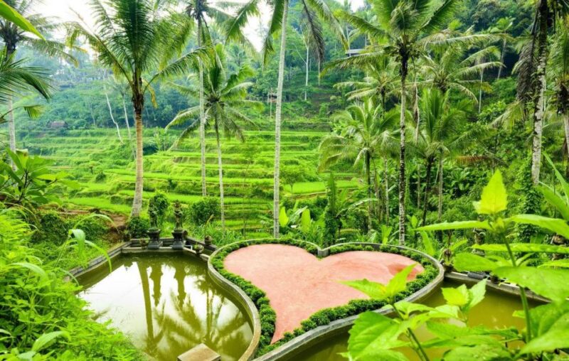 Bali: Rice Terraces, Holy Water Temple & Waterfall Tour - Pricing and Booking