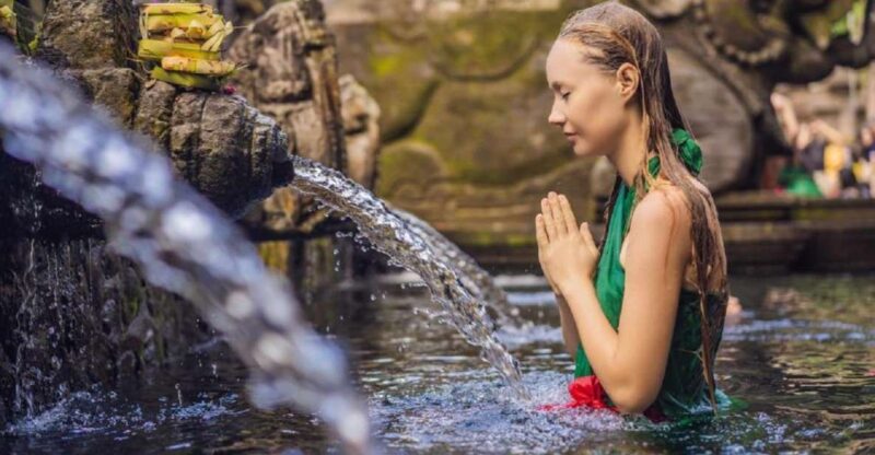 Bali: Rice Terraces, Holy Water Temple & Waterfall Tour - Important Information