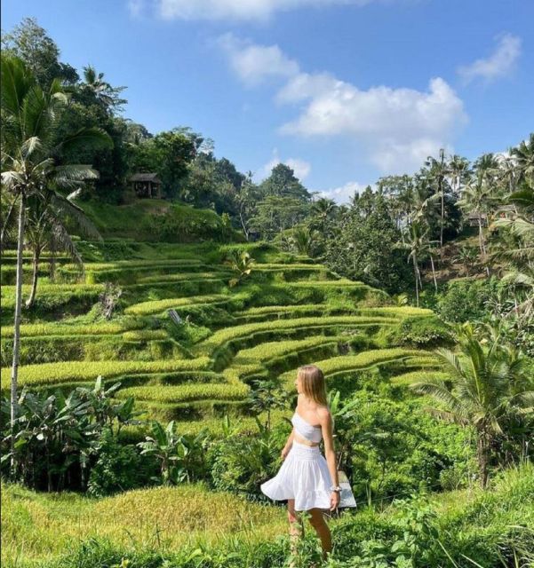 Bali: Rice Terraces, Holy Water Temple & Waterfall Tour - Explore Balis Natural Wonders