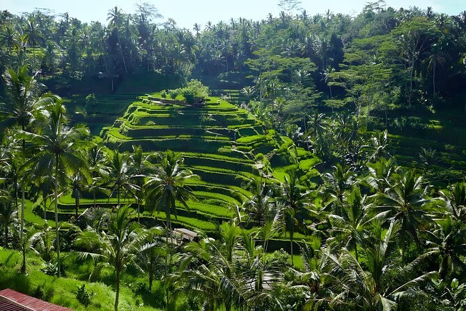 Bali River Tubing Adventure and Kintamani Volcano Tour Packages - Pickup Information