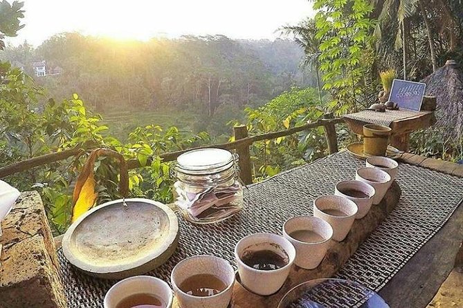 Bali Romantic Floating Breakfast - Jungle Swing - Monkey Forest - Ubud Art Shop. - Meeting and Pickup