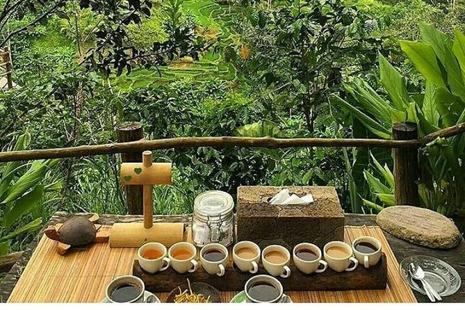 Bali Romantic Floating Breakfast - Jungle Swing - Monkey Forest - Ubud Art Shop. - Bali Pulina Coffee Plantation