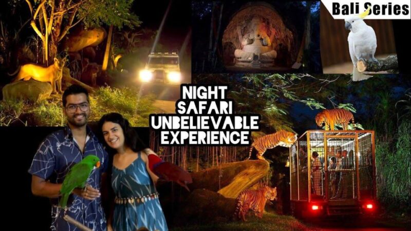 Bali Safari & Marine Park Round-Trip Night Transfer Only - Key Points