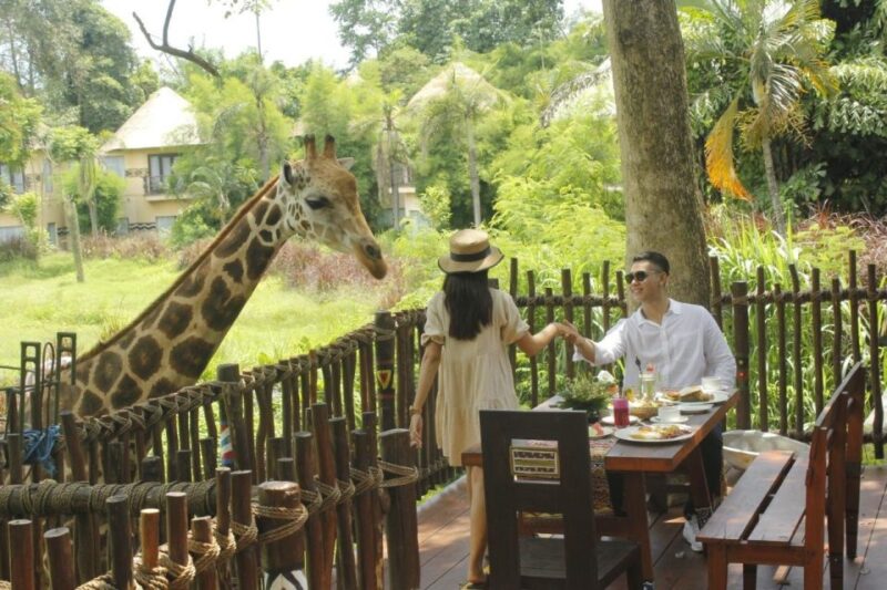 Bali Safari & Marine Park Round-Trip Night Transfer Only - Transfer Details