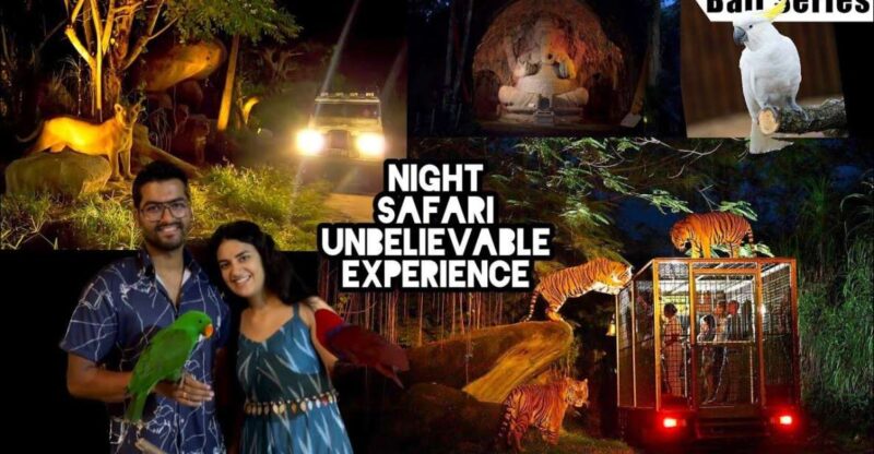 Bali Safari & Marine Park Round-Trip Night Transfer Only - Pickup and Drop-off Locations