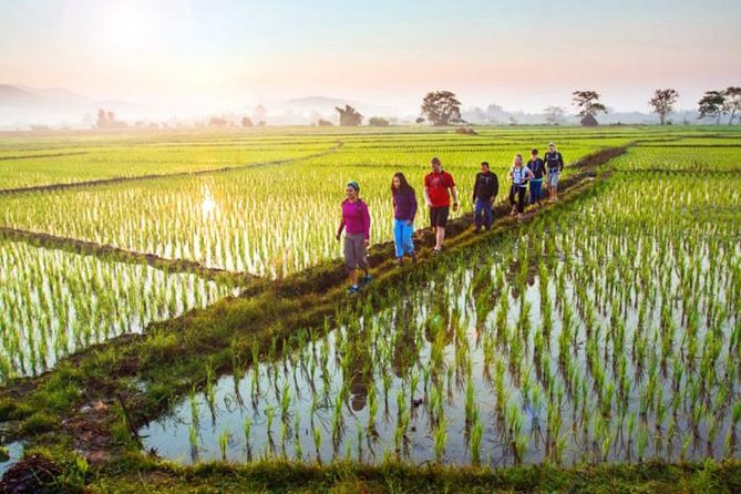 Bali Sambangan Waterfall, Rice Field, Secret Garden Tour - Meeting and Pickup