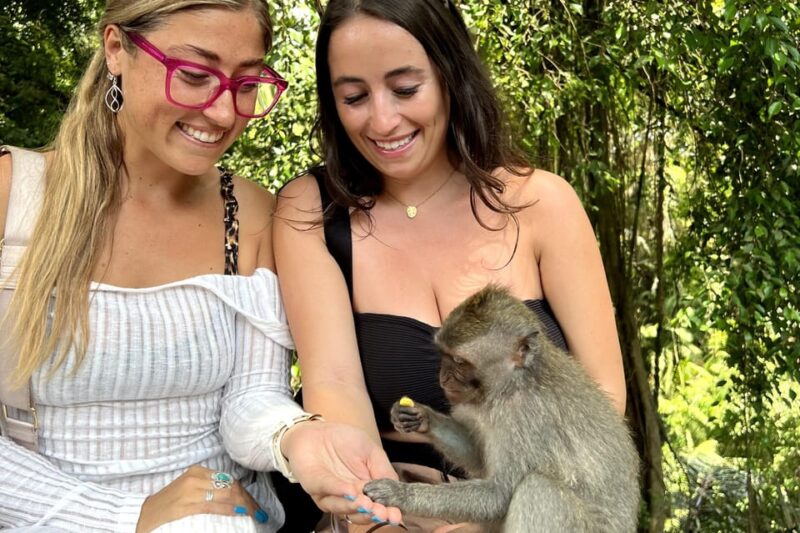 BALI :Sanctuary Monkey Forest, Rice Terrace Water Temple - Key Points