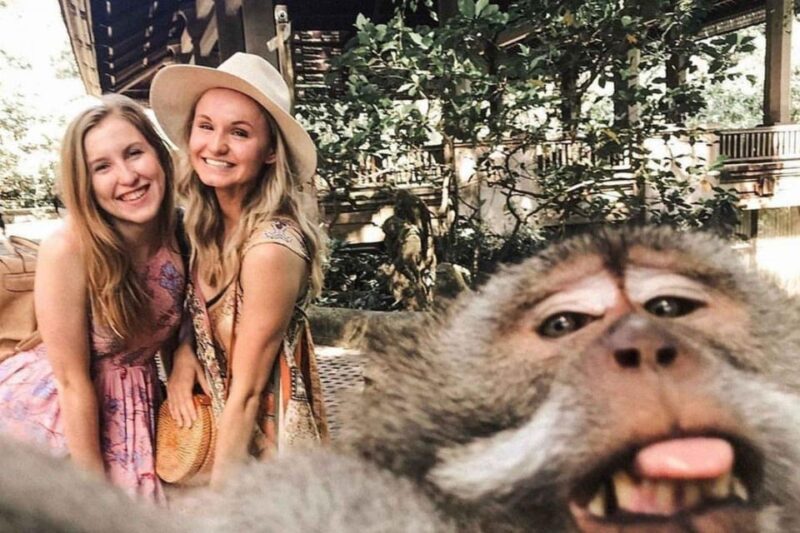 BALI :Sanctuary Monkey Forest, Rice Terrace Water Temple - Attractions and Activities