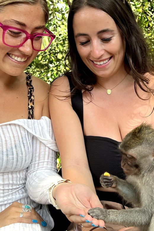 BALI :Sanctuary Monkey Forest, Rice Terrace Water Temple - Inclusions