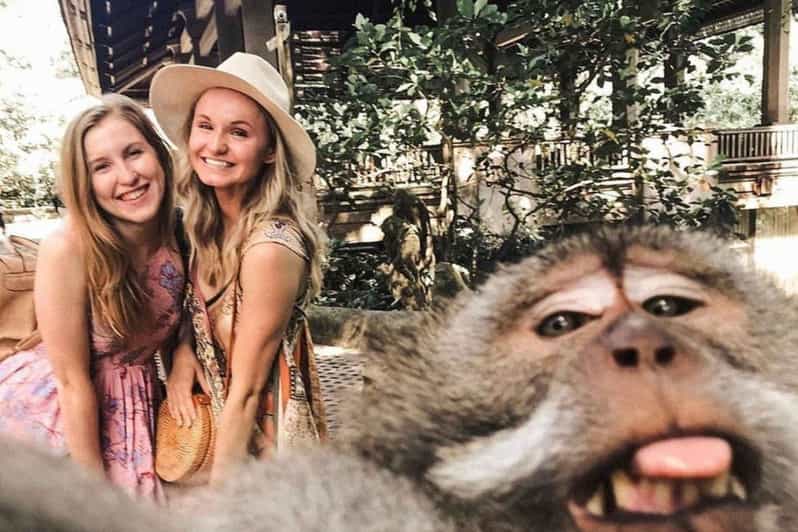 BALI :Sanctuary Monkey Forest, Rice Terrace Water Temple - Important Information
