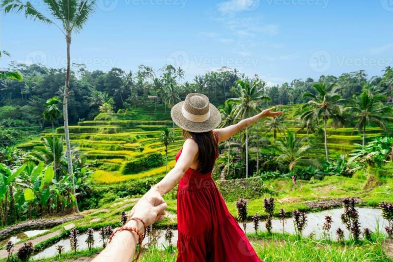 BALI :Sanctuary Monkey Forest, Rice Terrace Water Temple - Customer Feedback