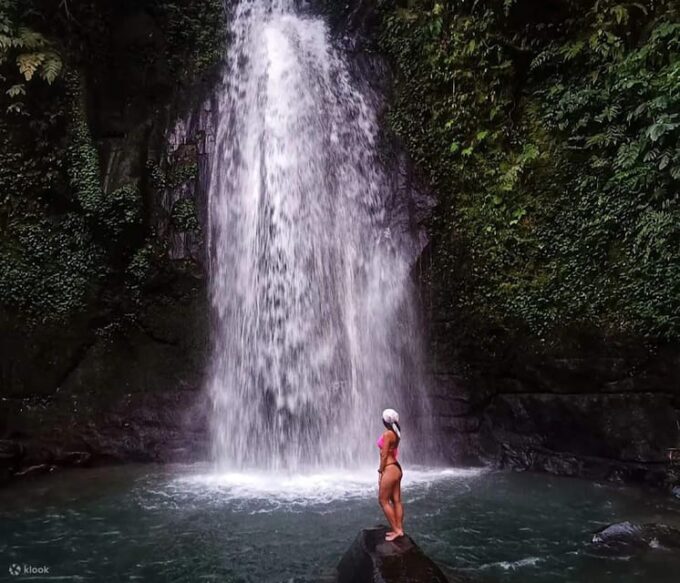 BALI :Sanctuary Monkey Forest, Rice Terrace Water Temple - Explore Monkey Forest