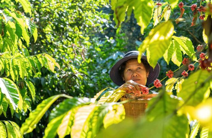 BALI :Sanctuary Monkey Forest, Rice Terrace Water Temple - Immerse in Balinese Culture