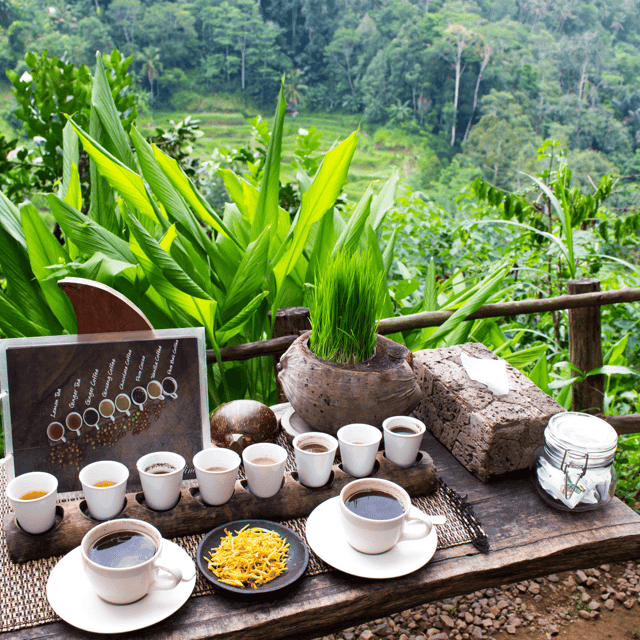 BALI :Sanctuary Monkey Forest, Rice Terrace Water Temple - Frequently Asked Questions