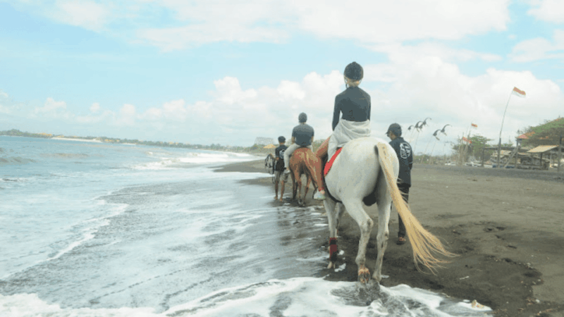 Bali: Sanur Horse Riding for Beginner Experience - Included Features