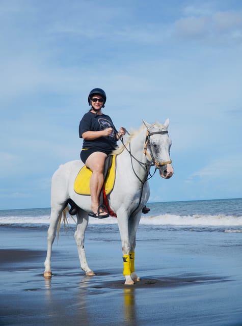 Bali: Sanur Horse Riding on the Beach Guide Tour - Highlights of the Horse Riding Tour
