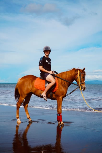 Bali: Sanur Horse Riding on the Beach Guide Tour - Frequently Asked Questions