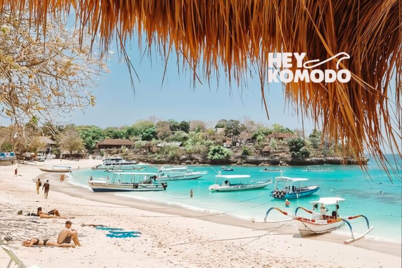 Bali Sanur : To or From Nusa Lembongan By Fastboat Transfer - Travel Experience