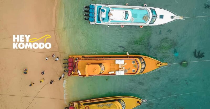 Bali Sanur : To or From Nusa Lembongan By Fastboat Transfer - Safety and Comfort