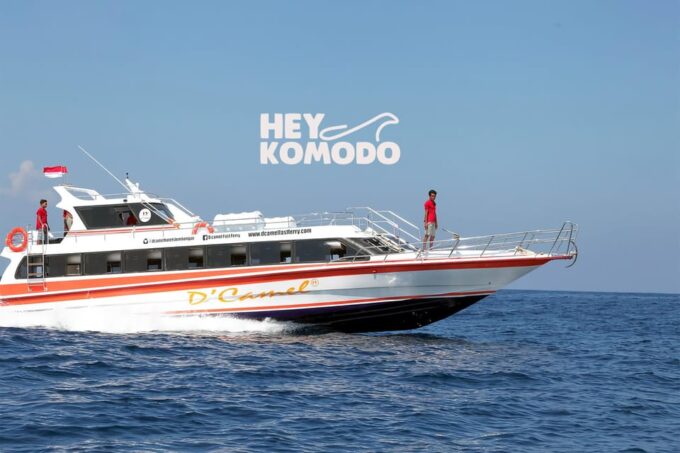 Bali Sanur : To or From Nusa Lembongan By Fastboat Transfer - Customer Reviews