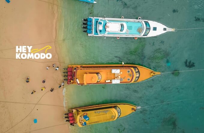 Bali Sanur : To or From Nusa Lembongan By Fastboat Transfer - Recap