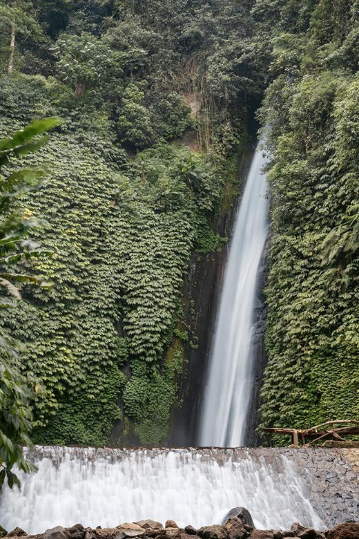 Bali Scenic Rice Terraces, Temple & Waterfall Tour - Jatiluwih Rice Terraces