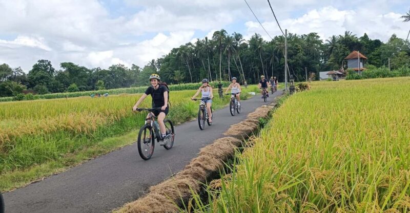 Bali: Scenic Village Cycling Tour With Cultural Insights - Key Points