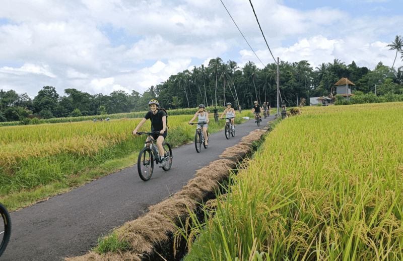 Bali: Scenic Village Cycling Tour With Cultural Insights - Highlights of the Tour