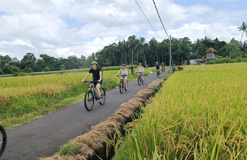 Bali: Scenic Village Cycling Tour With Cultural Insights - Inclusions and Pricing