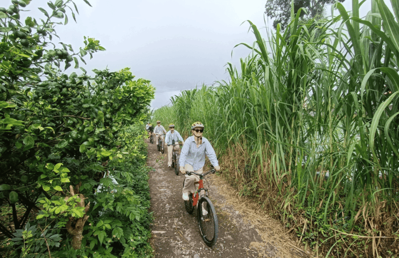 Bali: Scenic Village Cycling Tour With Cultural Insights - Cancellation and Policies