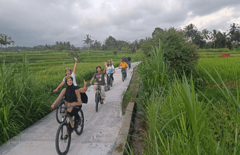 Bali: Scenic Village Cycling Tour With Cultural Insights - Physical Requirements