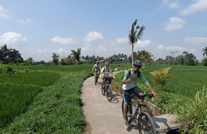 Bali: Scenic Village Cycling Tour With Cultural Insights - Expert Guides and Small Groups