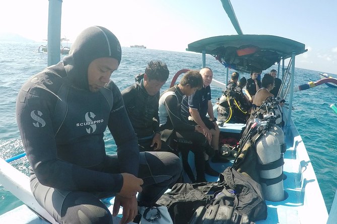 Bali Scuba Diving at Padang Bai for Certified Diver - Exploring the Underwater Wonders